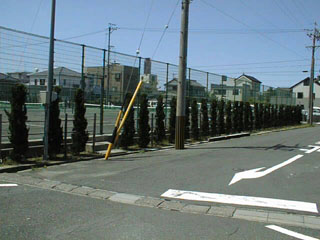 �Ή��̓J�C�d�J�C�u�L