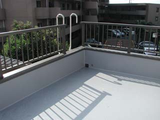 ����o���R�j�[�͈ӊO�ƍL��