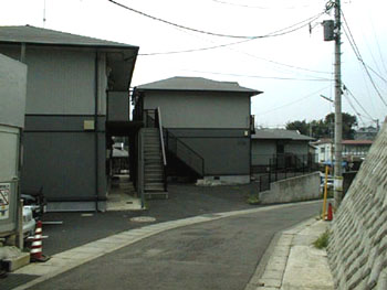 ��ԍ�������