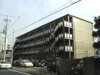 �ՐÂȏZ��n�Ɍ��}���V����