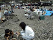 �������ɂ͉��������ς���