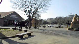 �}�U�[�q��̓����L�ꂩ�猩��i�F