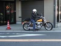 �j�ꎁ������