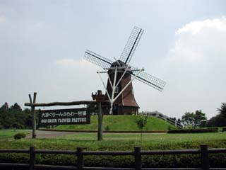 ��ӂ���[��ӂ��[�q��̃V���{���̕���