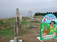 �y�����̋u�z�B���Ɍ�������́u�����̏��v