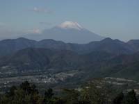 �؂̉ԑ䂩��]�ޕx�m�R