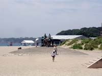 �y���̍����z���N�_�̃u�����Y��