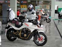 �n�c���̓J������������ƂقƂ�ǂ��̃|�[�Y�B�u�K���J�^�v�炵��