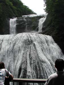 �~�J��������Ȃ̂��A���̂��������ʂ�