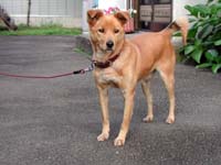 ���h�̊Ŕ��B�Ƃ��Ă��l�Ȃ������A�������x������x���x�����ꂽ�i�O�O�G