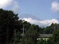 �쑤�̕�������]�߂�x�m�R�B�����瑤�̕������w���Ŕ��܂�ɗ��邨�q���������������