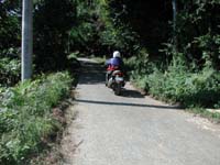 �ׂ��ѓ��ɓ����Ă����n�����j�B���̓�����������΃��X�͍ŏ����ōςނ̂���........