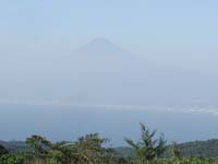 ����ł̓n�b�L��������x�m�R���A�J�����Ɏ��߂�Ɛ�̒��ɂƂ�����ł��܂������ڂ₯�Ă��܂�