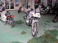 �Ȃ�Ƃ����}�C������