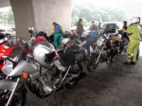 �悤�₭�V�q�o�`�ɓ���