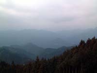 �l�D�h �����񋟁E�W�]�䂩��̌i�F