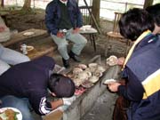 �z�^�e���Ă��n�߂�I