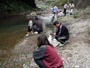 ���������ċ��ނ���y���ޖʁX