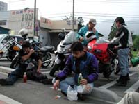 �O�X�p���̃L�c���g�D�h �����i���j�͂�����Ɍ��𝆂�ł���