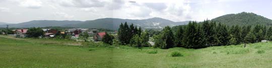 �Ζʂ�o���Đ���]�ތi�F�B������Ζʂ͓����Ƃ��Ă��邪�A���̕��͉_�����߂�