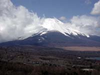 �Y��ȕx�m�R�B�_��������Ǝז�������....(^^;