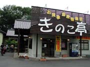 �傫�ȕ����Ły���̂����z�Ə�����Ă��邪�A���͎�O�͂��݂₰�����񕔕��̂݁B�H���͉��̌����ł�������