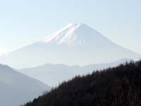 ���򓻂���]�ޕx�m�R�B�g���ꂼ�x�m�R�I�h�Ƃ����Y��ł��ꂢ�ȃV���G�b�g���ڂ�a�܂���