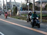 �i�E����j�n�쎁�A�t�C���A�s�쎁