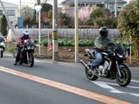 �i�E����j�g�l���A�g�D�h ����