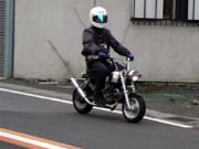 �g�D�h ��������