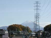 �y���߂݂̋u�z�̒��ԏꂩ��]�ޕx�m�R�B�S�����ז��I�i�΁j�@���Ȃ݂ɁA�y���߂݂̋u�z�̘I�V���C����͓S���Ɏז����ꂸ�ɗY��ȕx�m�R���]�߂�