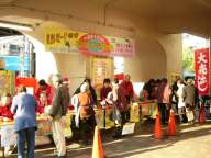 �����̒��I���i