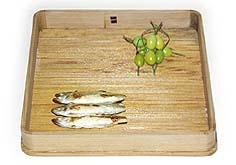 �킩������M�q�Ă���Ǐ��t����