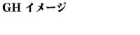 企業顧問 コンサルティング_GHイメージ_0 日経新聞 全面広告