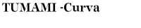 工芸品 TUMAMI -Curva