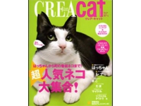 建築家に聞く、ネコと暮らすための家づくり