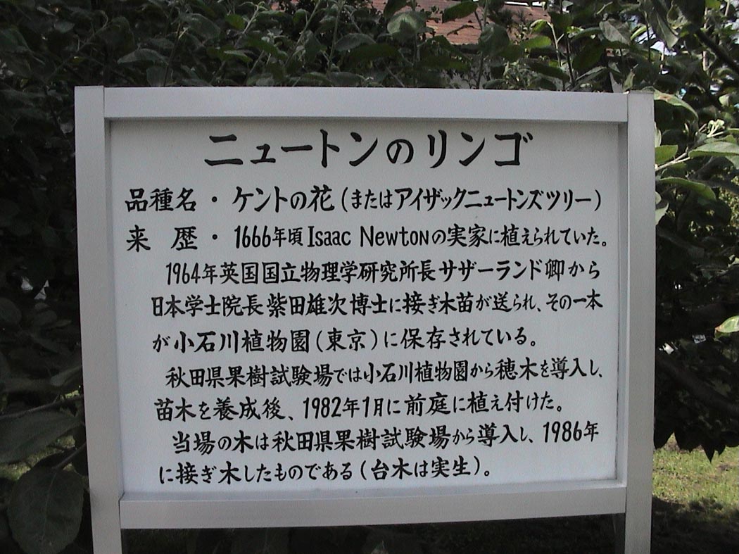 �X����񂲎��������