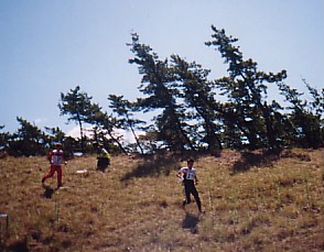 �삯�����