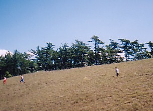 ���ʃ]�[����