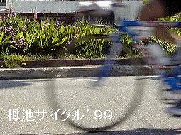 jun13a5.jpg (35218 �o�C�g)