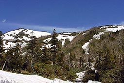 a100.jpg (16409 �o�C�g)