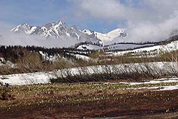 a104.jpg (17623 �o�C�g)