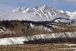 a105.jpg (18955 �o�C�g)