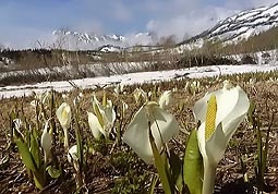 a109.jpg (22035 �o�C�g)