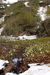 a115.jpg (22345 �o�C�g)