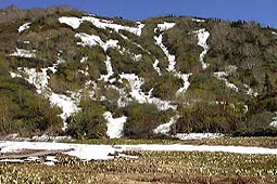 a117.jpg (22240 �o�C�g)