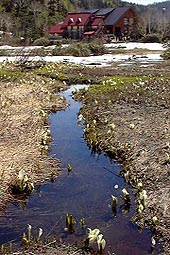 a118.jpg (23580 �o�C�g)