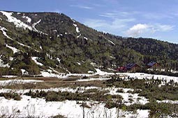 a135.jpg (19578 �o�C�g)