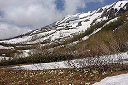 a151.jpg (20145 �o�C�g)