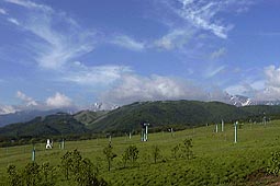 a51.jpg (10911 �o�C�g)